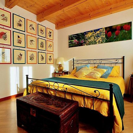 Ca' Leone - Regina Vittoria - Apartment With Pool Мира Экстерьер фото